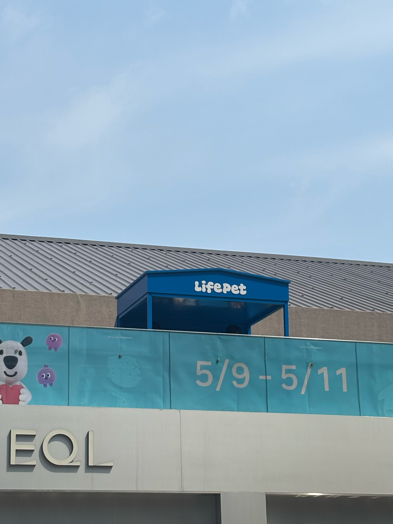 30317