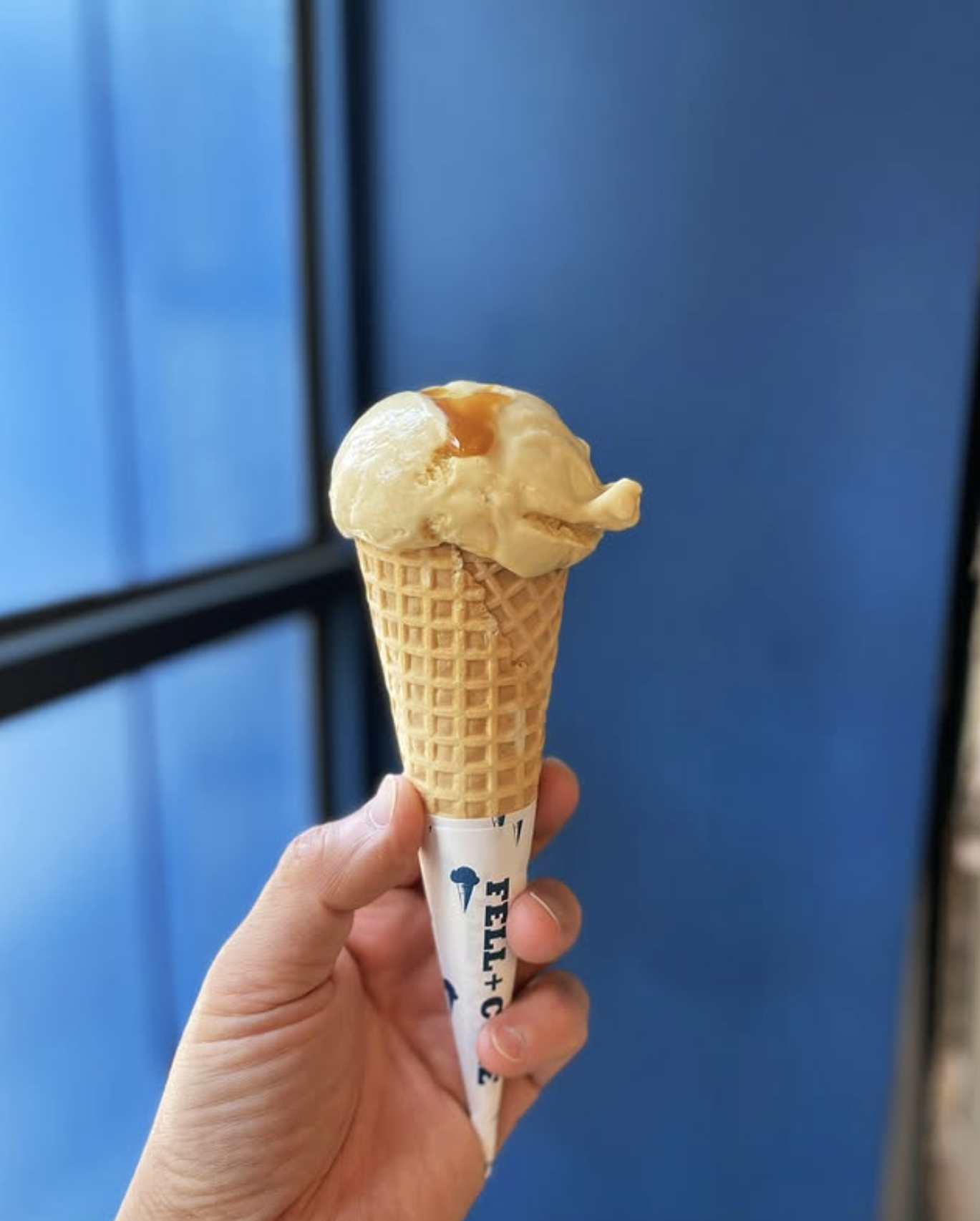 호즈미 X 펠앤콜