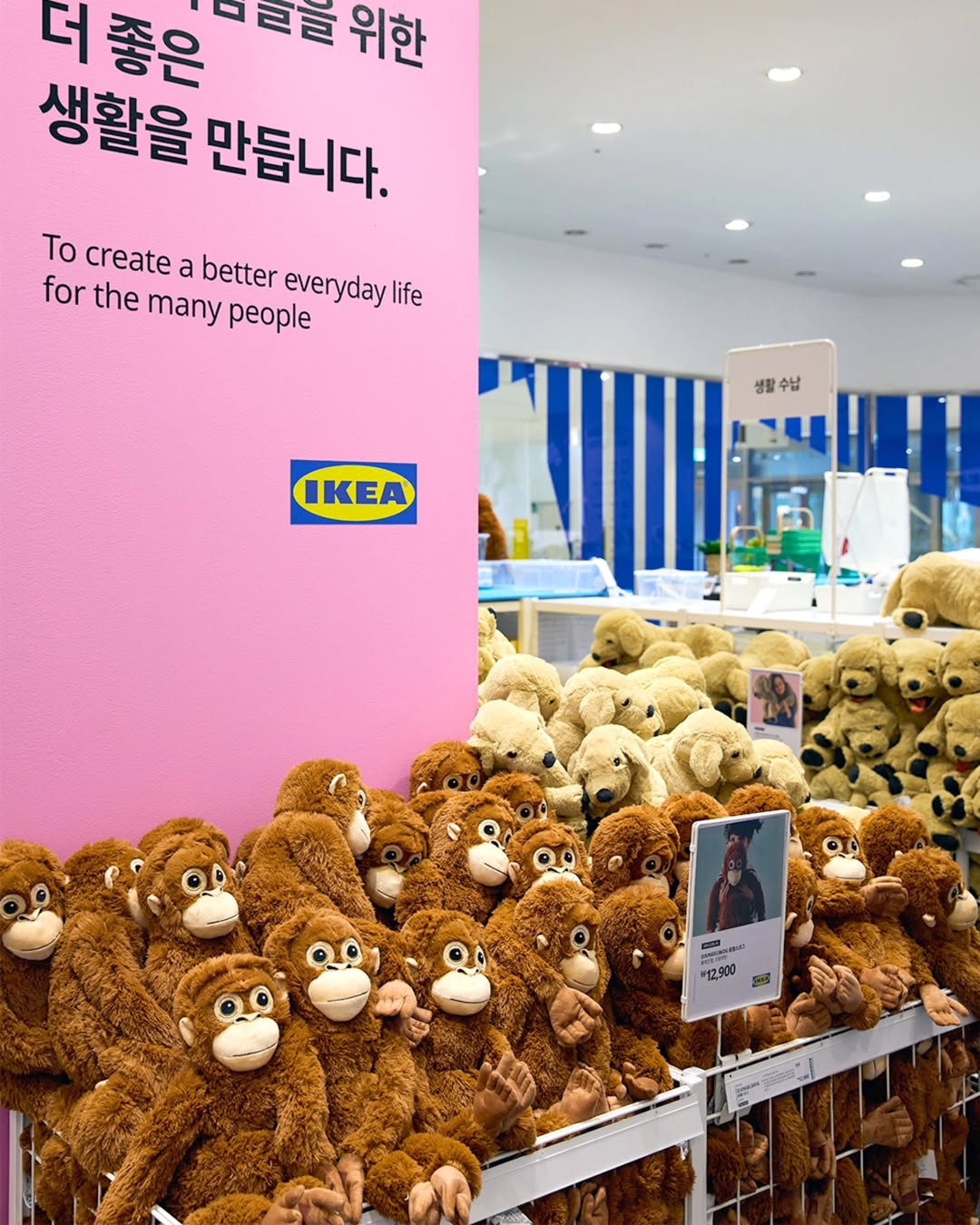 이케아