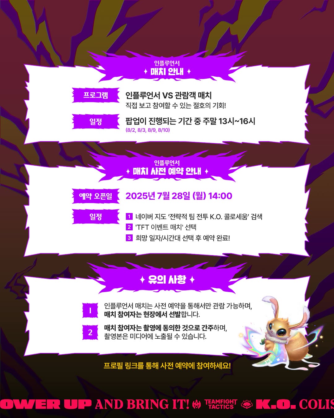 롤토체스
