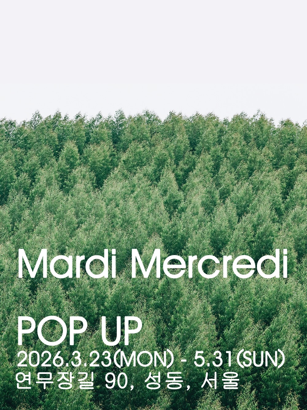 Mardi Mercrerdi 썸네일 이미지