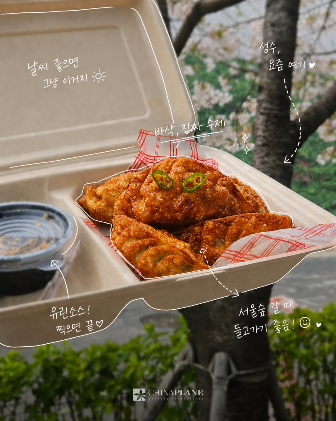 차이나플레인