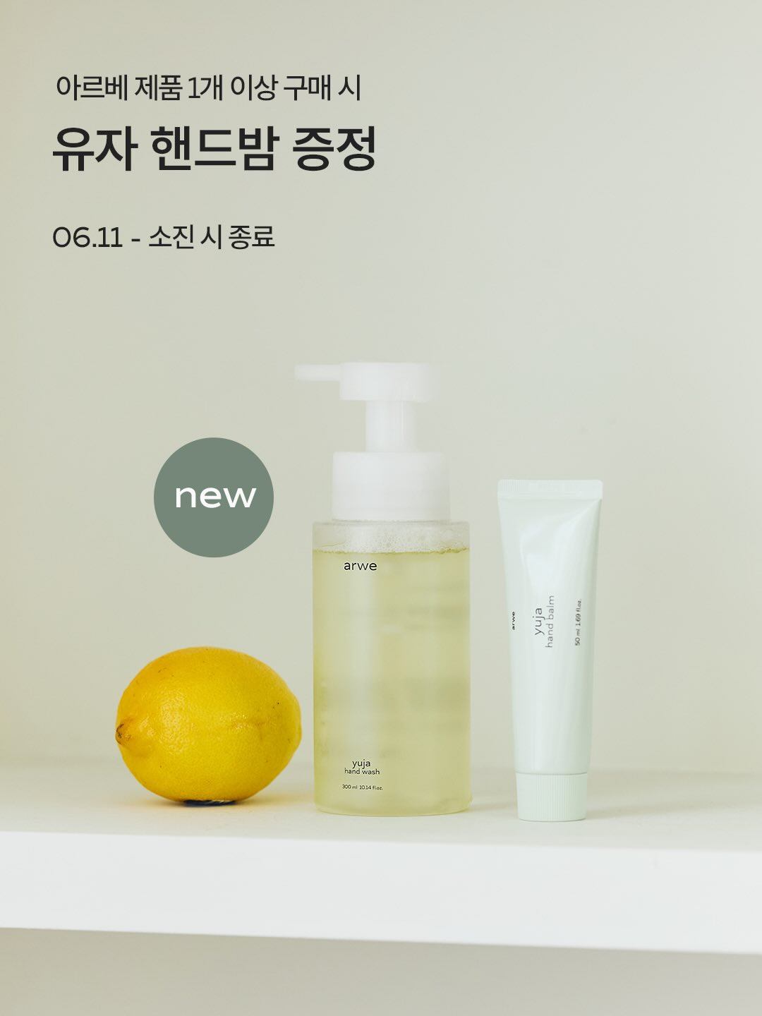 아르베 미니