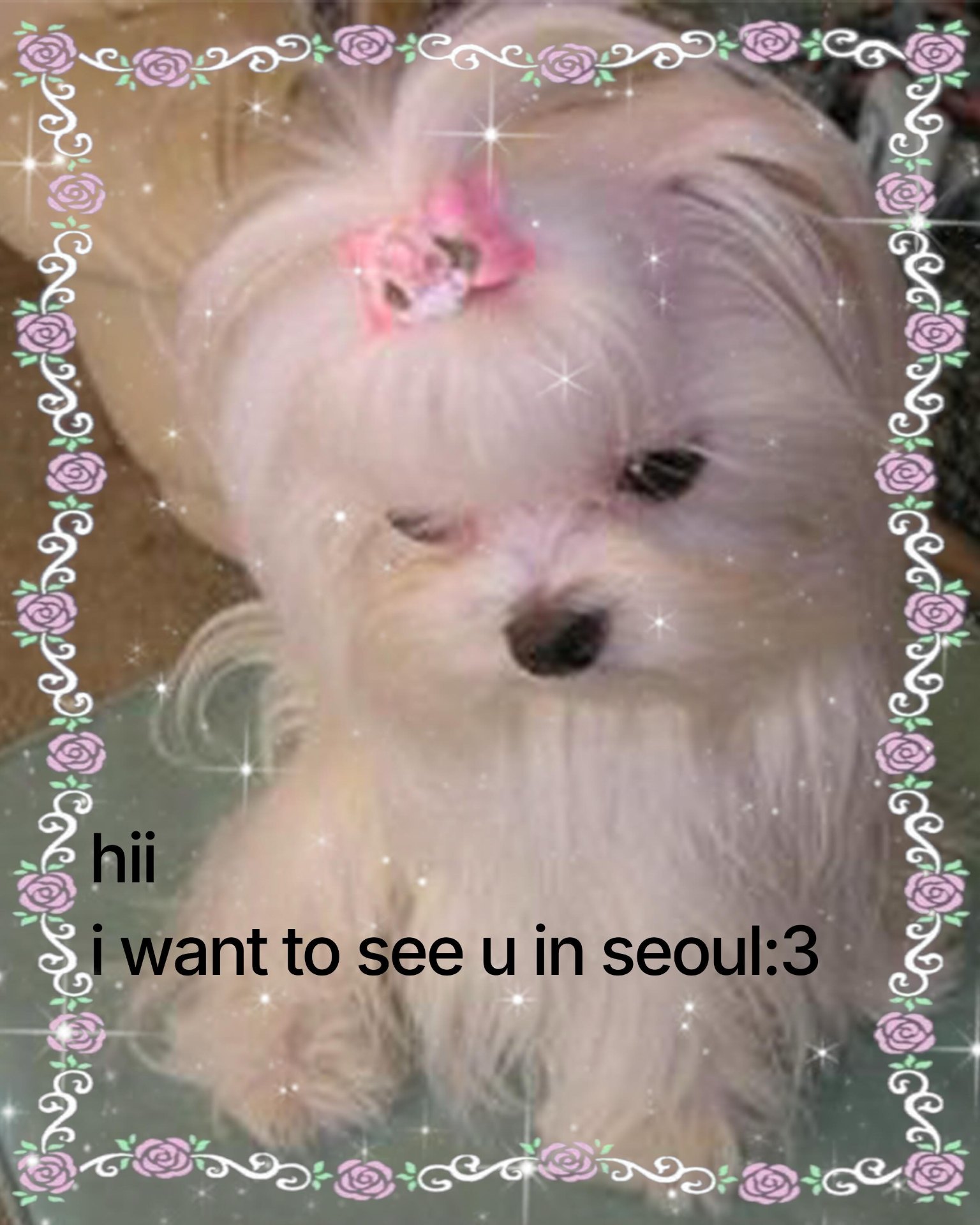 IGUSA SEOUL